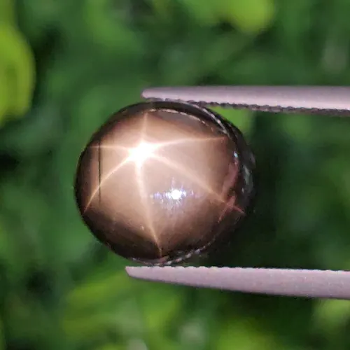 แบล็ค สตาร์ แซฟไฟร์ Natural Star Sapphire